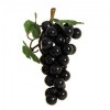 Black Grapes - Pack of 12
